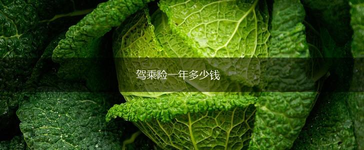 驾乘险一年多少钱,第1张