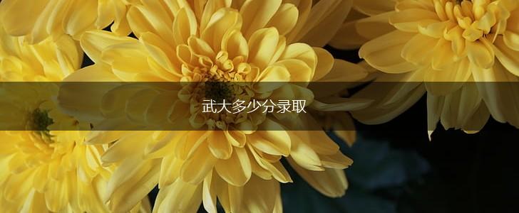 武大多少分录取,第1张