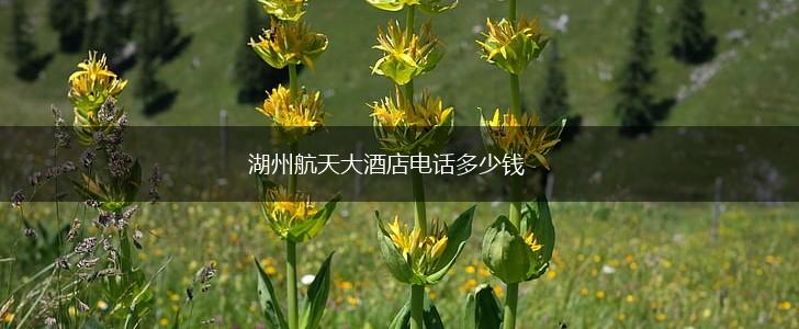湖州航天大酒店电话多少钱,第1张