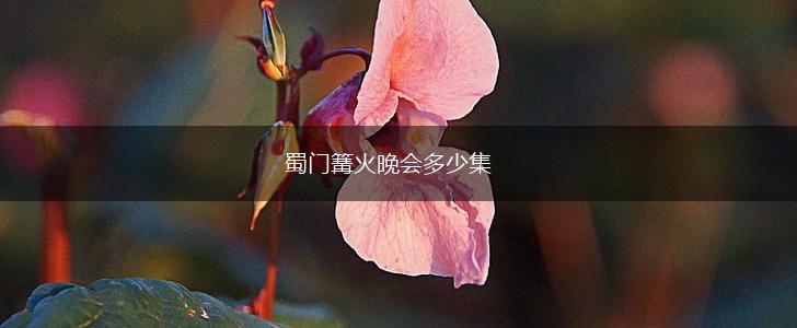 蜀门篝火晚会多少集,第1张