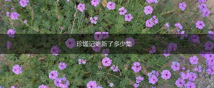 珍馐记更新了多少集,第1张