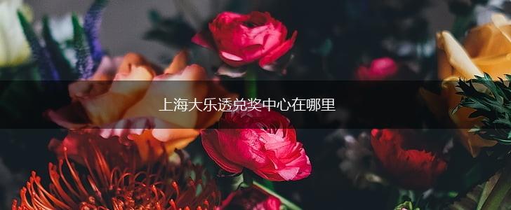 上海大乐透兑奖中心在哪里,第1张