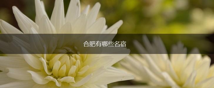 合肥有哪些名宿,第1张