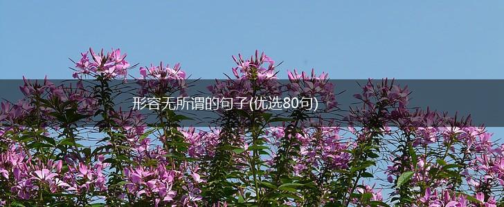 形容无所谓的句子(优选80句),第1张