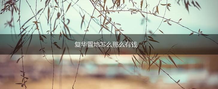 复华置地怎么那么有钱,第1张