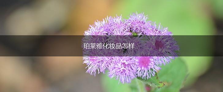 珀莱雅化妆品怎样,第1张