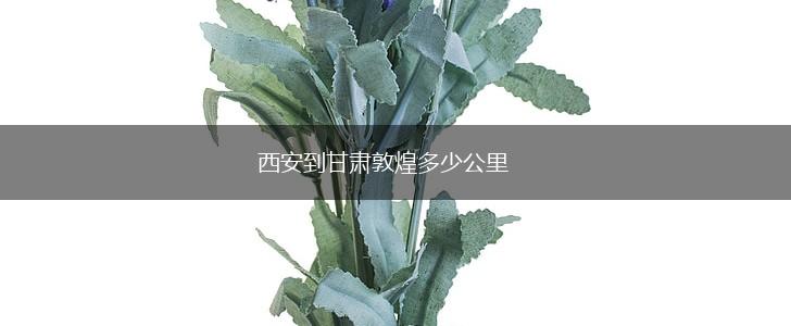 西安到甘肃敦煌多少公里,第1张