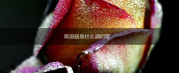 拨浪鼓是什么调的歌,第1张