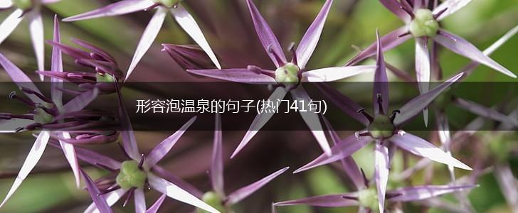 形容泡温泉的句子(热门41句),第1张