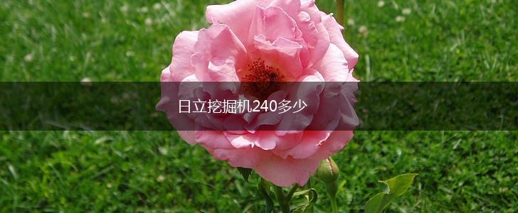 日立挖掘机240多少,第1张