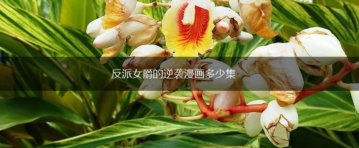 反派女爵的逆袭漫画多少集,第1张