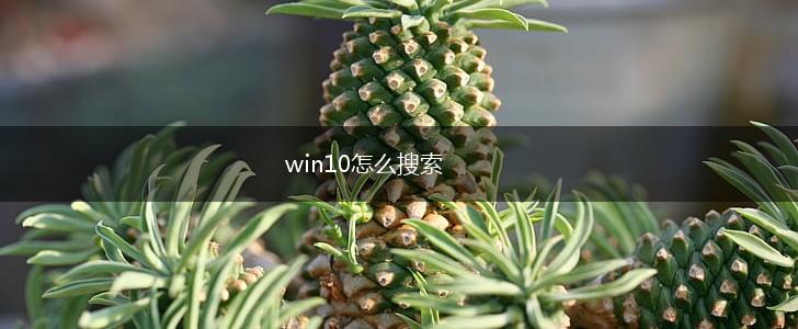 win10怎么搜索,第1张