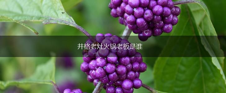 井格老灶火锅老板是谁,第1张