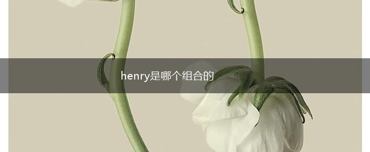 henry是哪个组合的,第1张