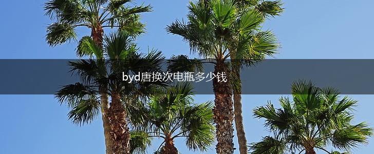 byd唐换次电瓶多少钱,第1张