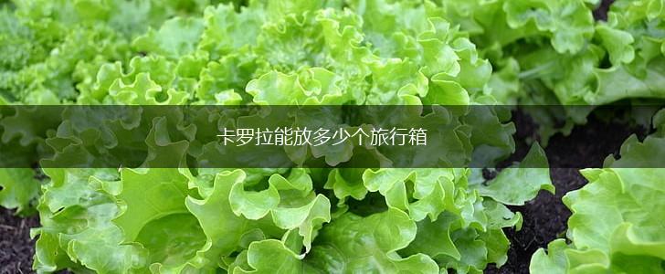 卡罗拉能放多少个旅行箱,第1张