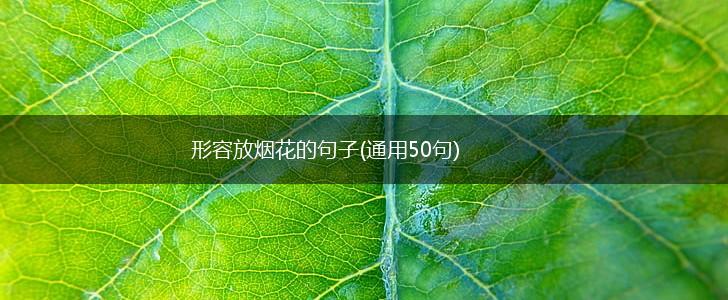 形容放烟花的句子(通用50句),第1张