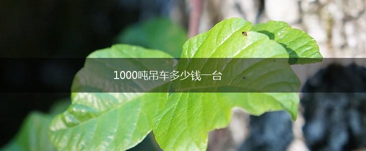 1000吨吊车多少钱一台,第1张