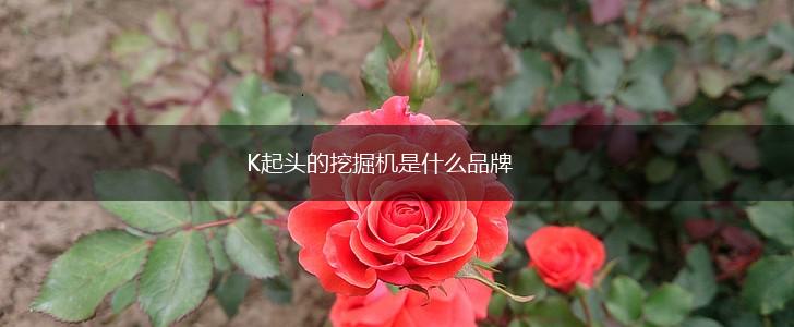 K起头的挖掘机是什么品牌,第1张