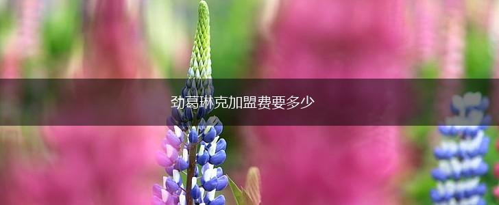 劲葛琳克加盟费要多少,第1张