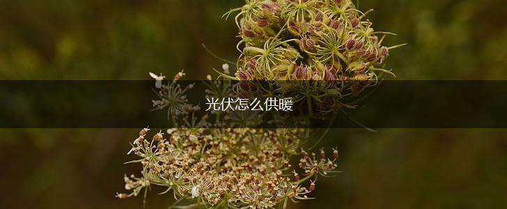 光伏怎么供暖,第1张