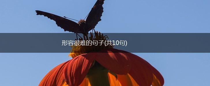 形容很难的句子(共10句),第1张