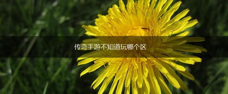 传奇手游不知道玩哪个区,第1张