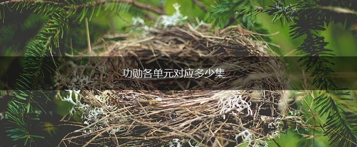 功勋各单元对应多少集,第1张