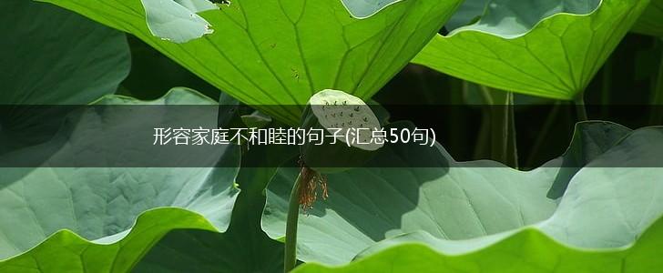 形容家庭不和睦的句子(汇总50句),第1张