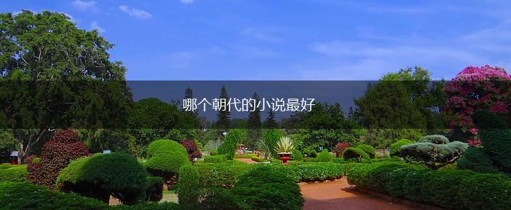 哪个朝代的小说最好,第1张