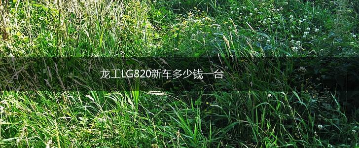 龙工LG820新车多少钱一台,第1张
