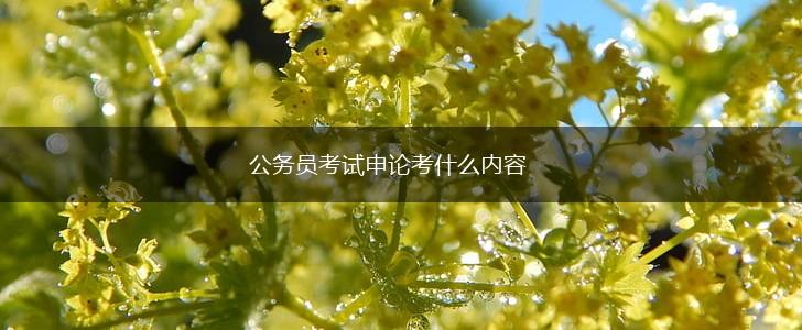 公务员考试申论考什么内容,第1张