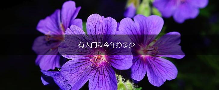 有人问我今年挣多少,第1张