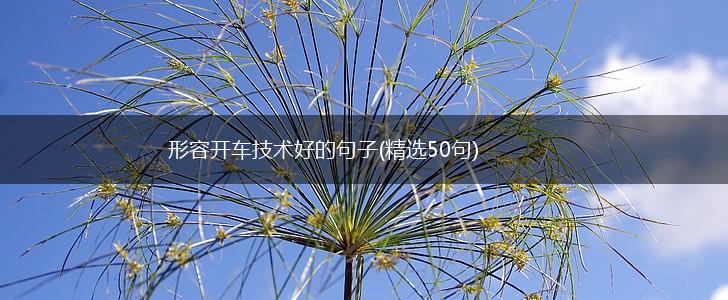 形容开车技术好的句子(精选50句),第1张