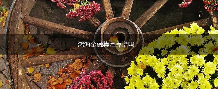 鸿海金融集团靠谱吗,第1张
