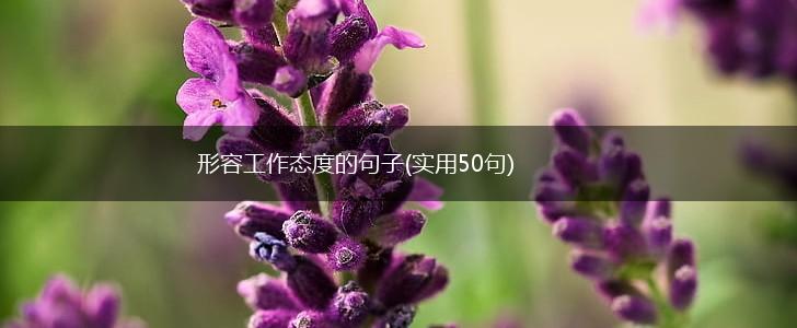 形容工作态度的句子(实用50句),第1张
