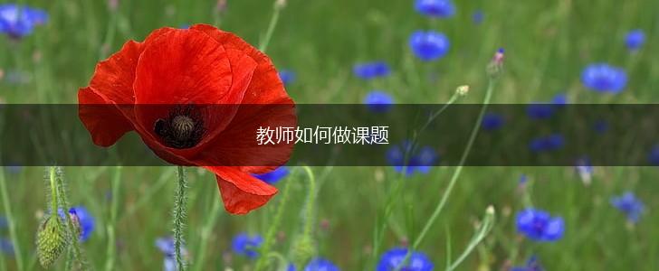 教师如何做课题,第1张