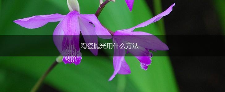 陶瓷抛光用什么方法,第1张