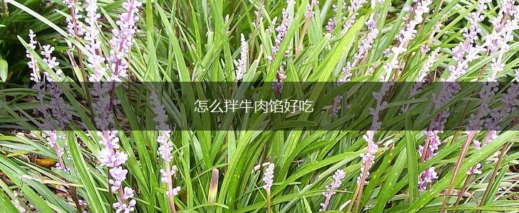 怎么拌牛肉馅好吃,第1张
