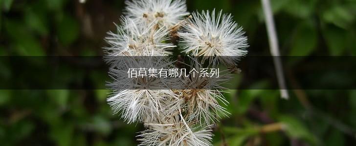 佰草集有哪几个系列,第1张
