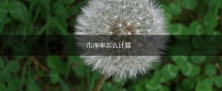 市净率怎么计算,第1张