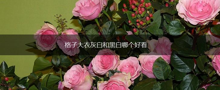 格子大衣灰白和黑白哪个好看,第1张