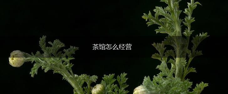 茶馆怎么经营,第1张