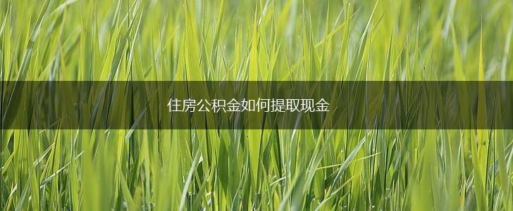 住房公积金如何提取现金,第1张