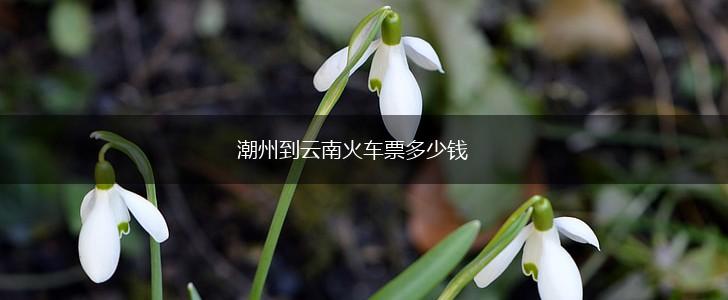 潮州到云南火车票多少钱,第1张