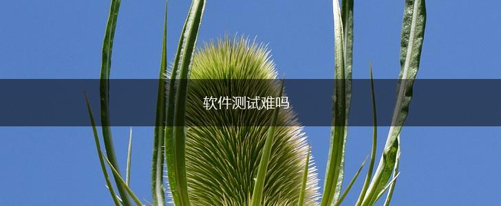 软件测试难吗,第1张