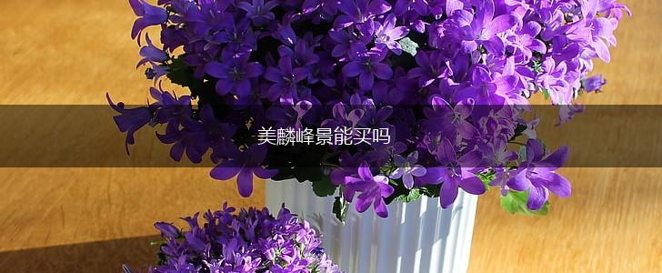 美麟峰景能买吗,第1张