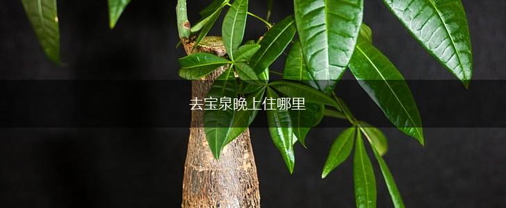 去宝泉晚上住哪里,第1张