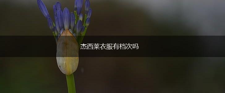 杰西莱衣服有档次吗,第1张