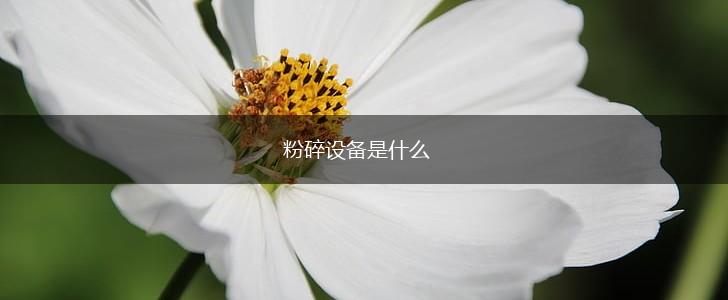 粉碎设备是什么,第1张